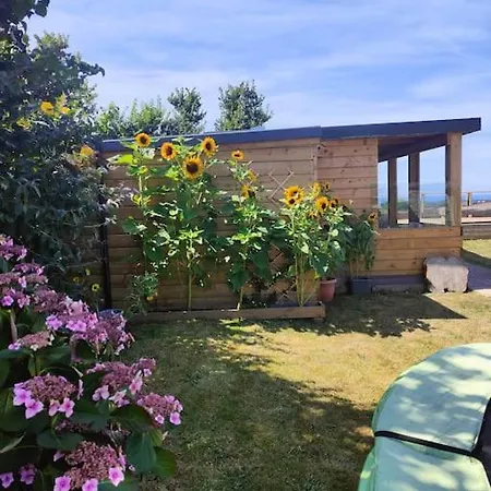 Little Swelle Cabin With Awesome Sea Views Poundstock Exterior photo