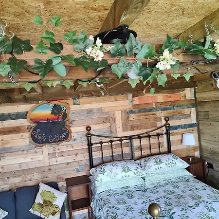 Little Swelle Cabin With Awesome Sea Views Poundstock Exterior photo